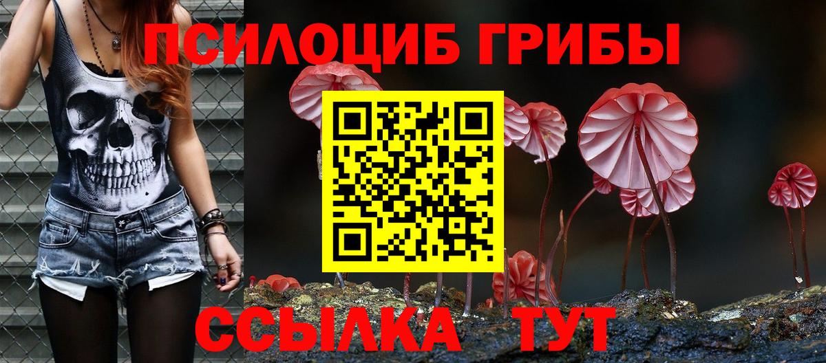 Майкоп  Псилоцибиновые грибы Psilocybe  как найти закладки  Псилоцибиновые грибы прущие грибы  Вход с VPN 
