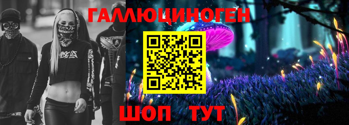 Псилоцибиновые грибы GOLDEN TEACHER Майкоп